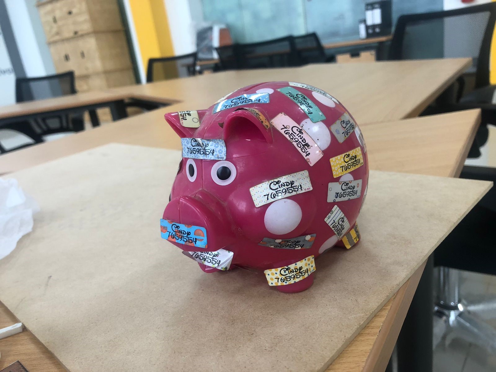 Pig Model